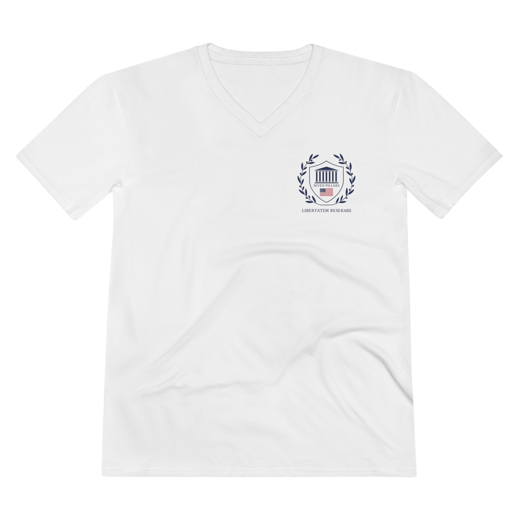 Men's Lightweight V-Neck Tee